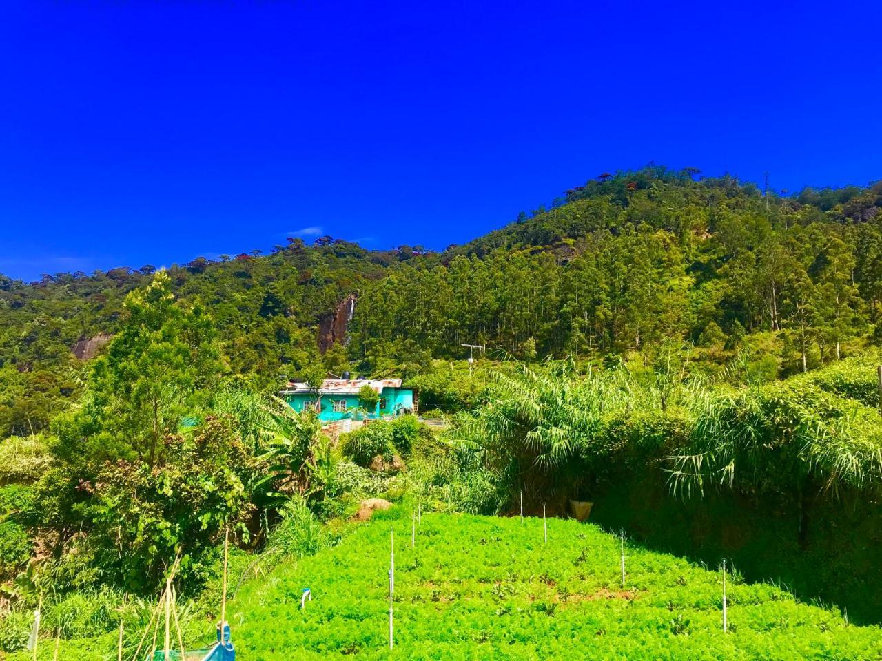 Loversleap Bungalow Nuwara Eliya Kültér fotó